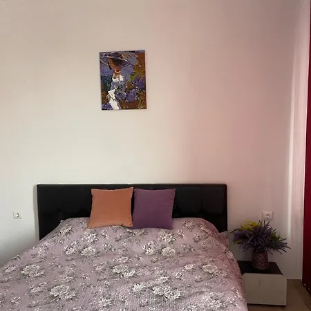 A Tiny Flat شقة ساني بيتش